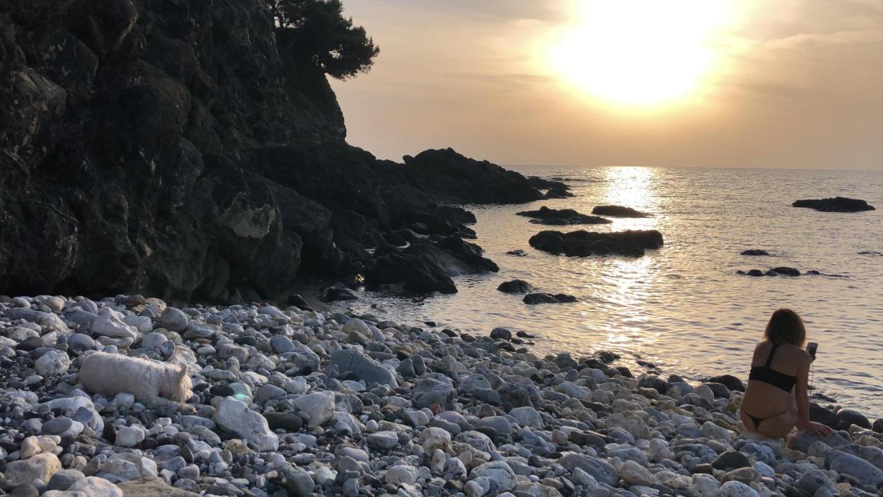 Livorno Apartment 外观 照片