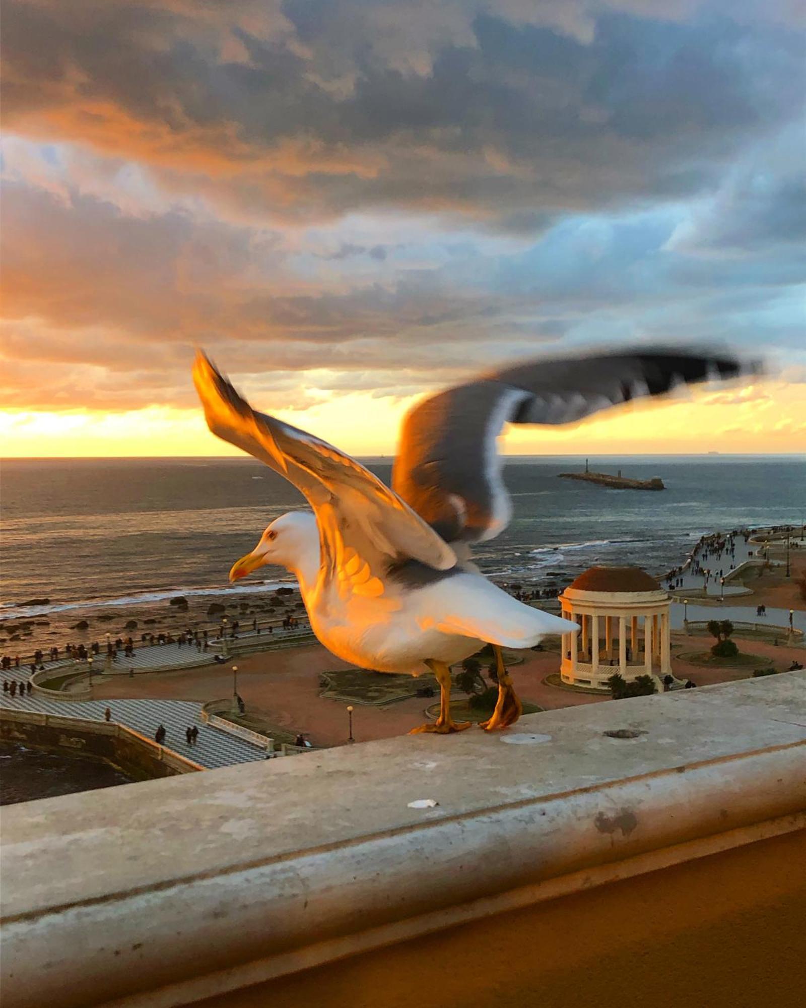 Livorno Apartment 外观 照片