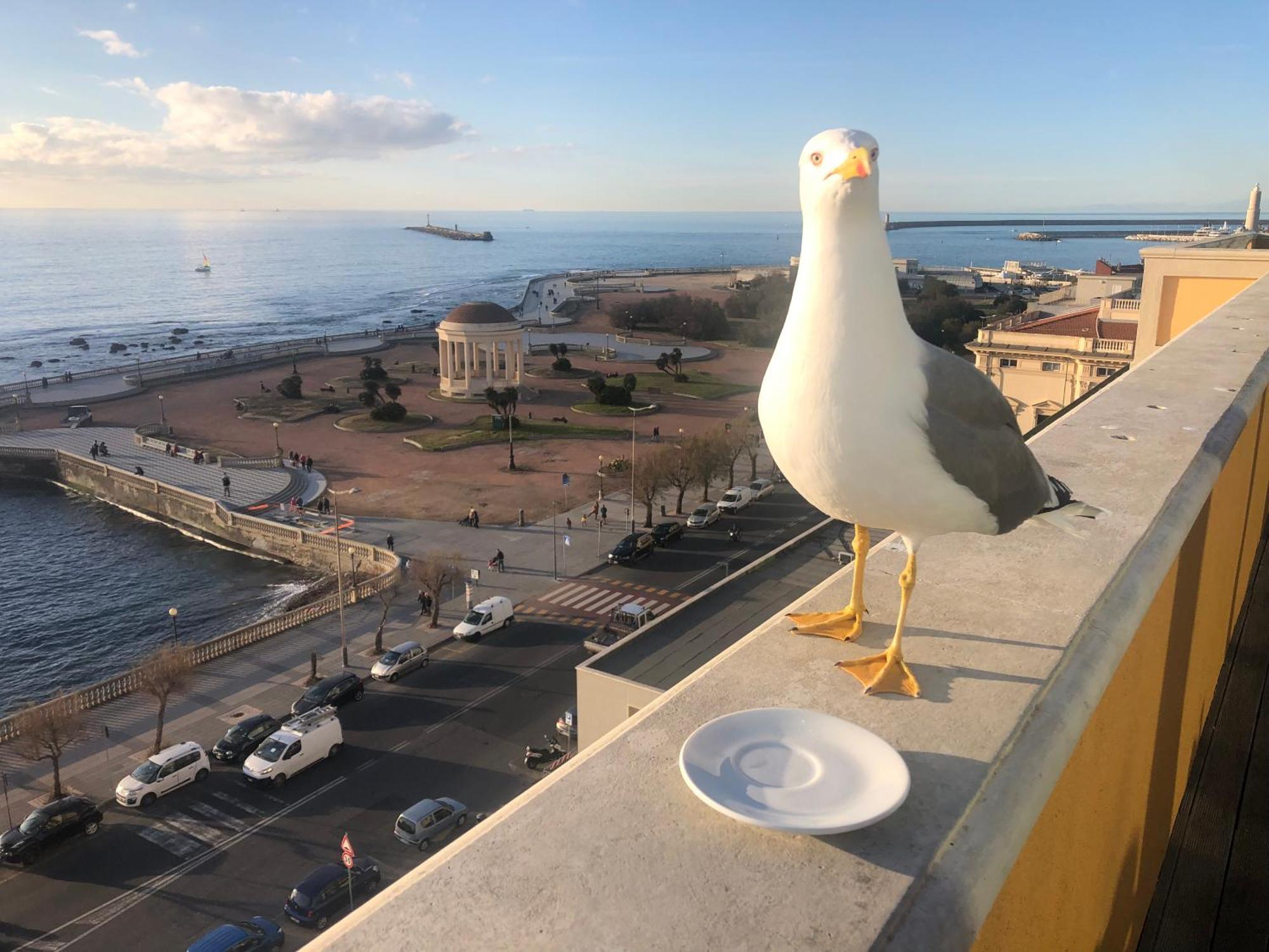 Livorno Apartment 外观 照片
